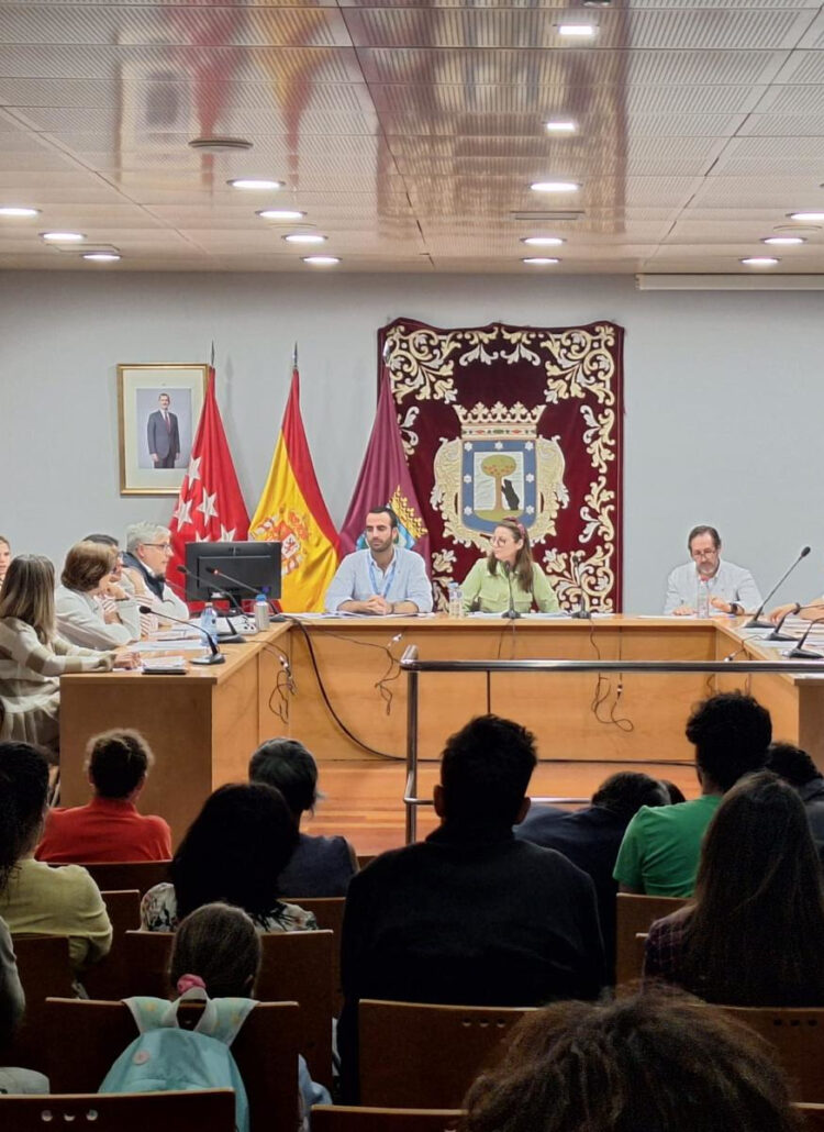 Pleno de la Infancia y la Adolescencia de Retiro