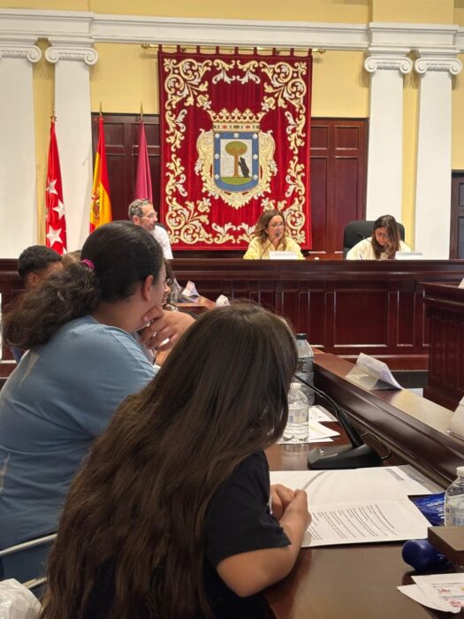 Paula Gómez-Angulo, ha presidido la sesión del Pleno de la Infancia y la Adolescencia del distrito