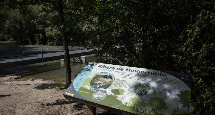 Ribera de Mingorrubio donde se han introducido los ejemplares