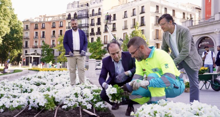 Segura, Carabante y Páramo supervisando la plantación