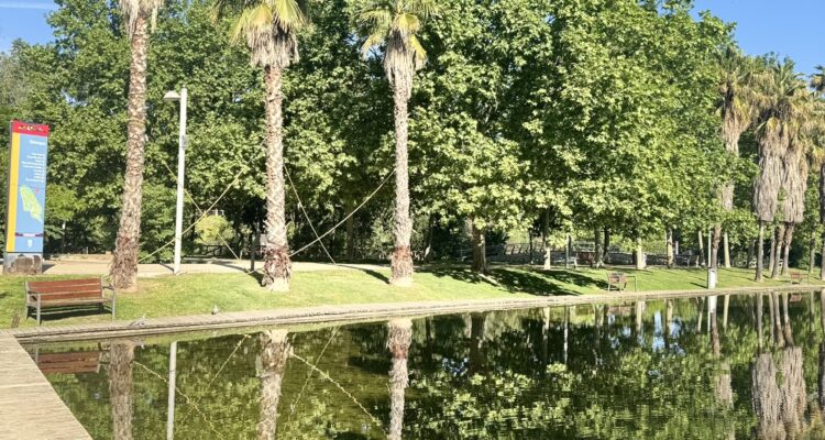 palmeras reflejadas en el agua y embarcadero de madera en primer plano, en el Parque Lineal del Manzanares
