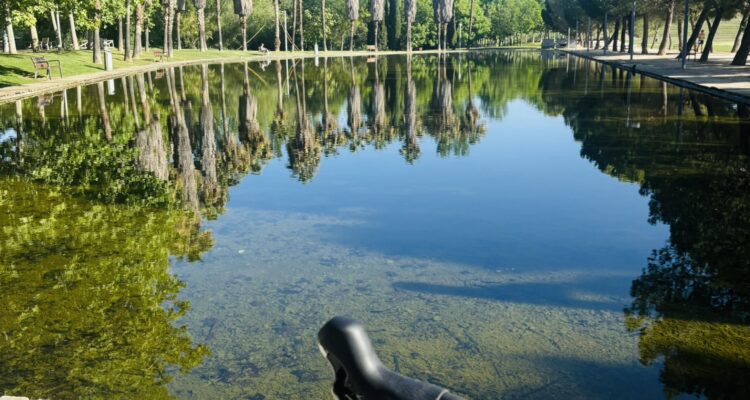 Manillar de bicicleta de carretera en un embarcadero de madera frente al río Manzanares con palmeras al fondo, en el parque lineal