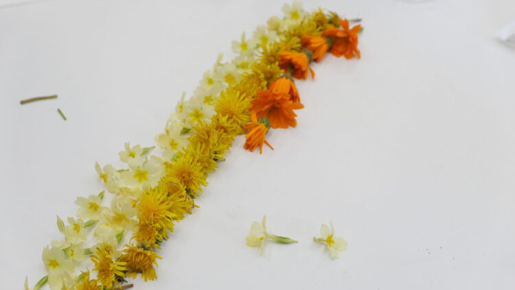 Taller 'Laboratorio floral'
