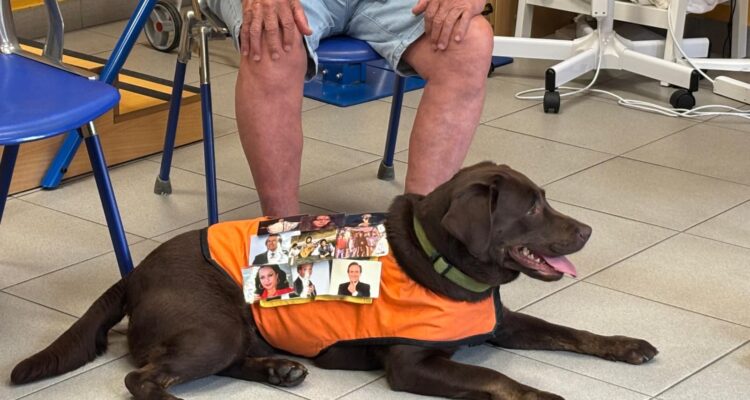 Terapia con perros en Tetuán