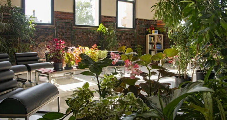 Refugio vegetal en CentroCentro