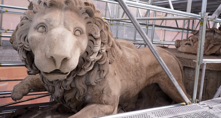 Detalle de la cabeza de uno de los leones de la Fuente de Cibeles rodeada de andamios