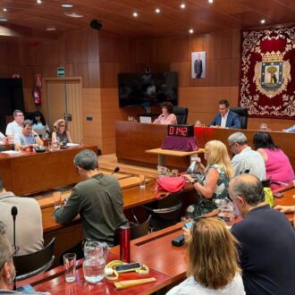 Debate sobre el Estado del Distrito de la Junta Municipal de Villaverde