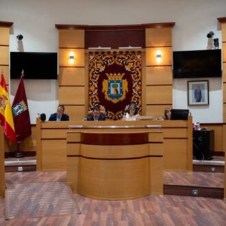 Presidencia del Pleno de Villa de Vallecas