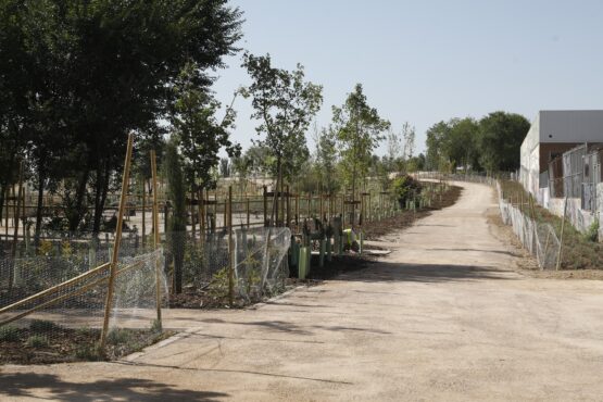 Imagen de archivo parque en el distrito de San Blas-Canillejas 