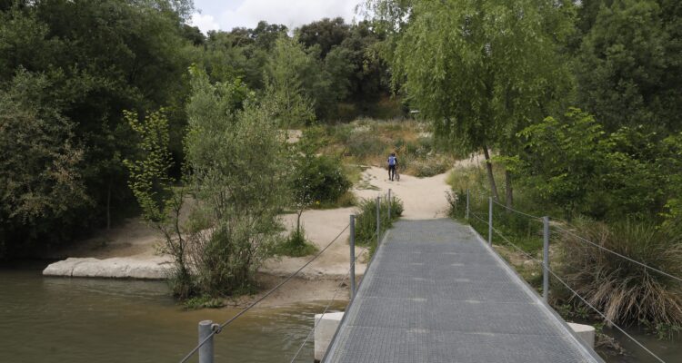 Imagen del río Manzanares a su paso por los alrededores de la presa de Mingorrubio