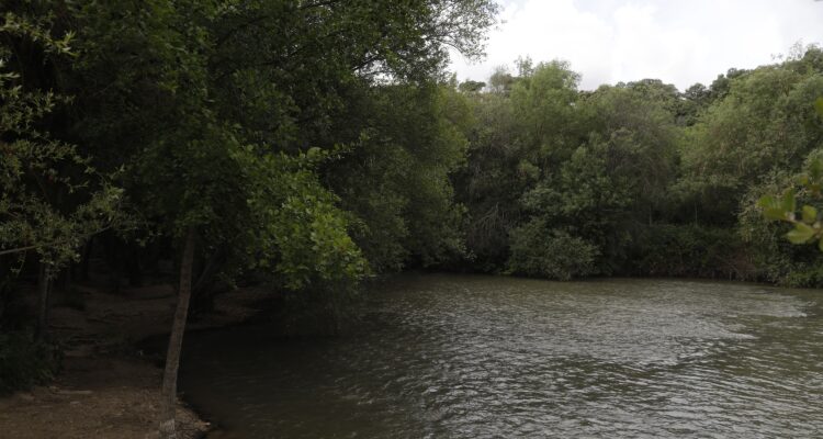 Imagen río manzanares a su paso por los alrededores de la presa de Mingorrubio