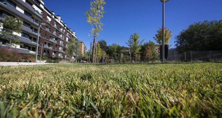 Nueva zona verde de la Subestación Melancólicos
