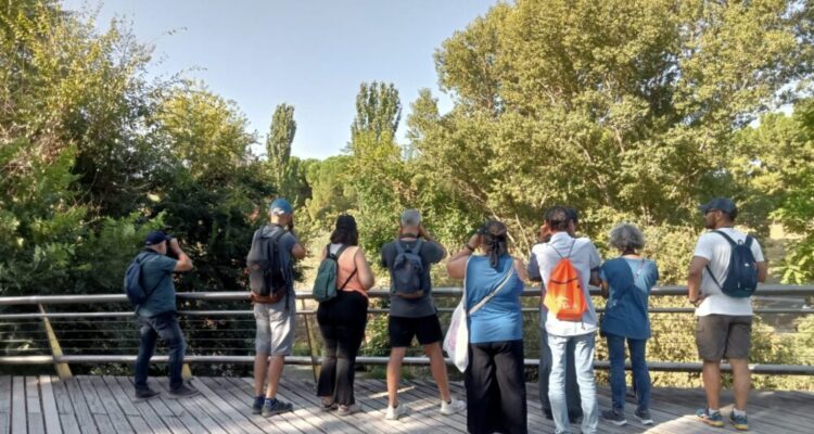 Avistamiento aves en Parque Lineal del Manzanares