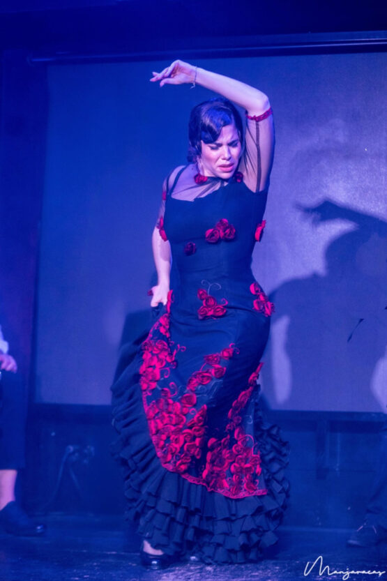 La bailaora Cintia Cano en el escenario con vestido de flores rojas