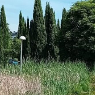 Espacio verde de Vía Lusitana