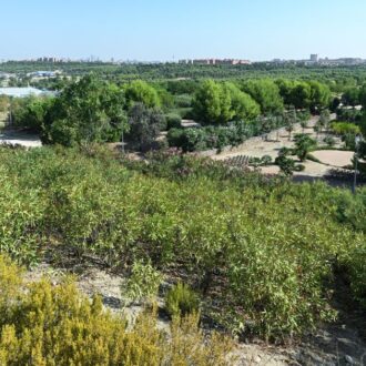 El parque de las Comunidades, ubicado en el distrito de Puente de Vallecas, es uno de los tesoros medioambientales menos conocidos de la capital