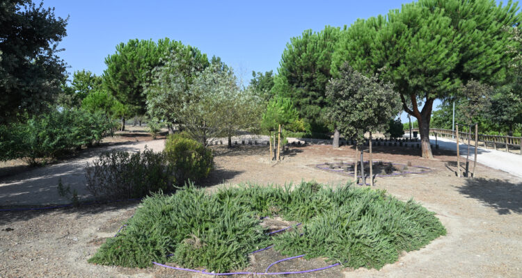 Imagen de la zona de parque forestal donde conviven diferentes especies
