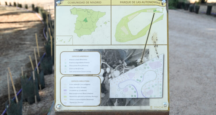 Imagen de la terraza dedicada a la Comunidad de Madrid con especies autóctonas de la comunidad