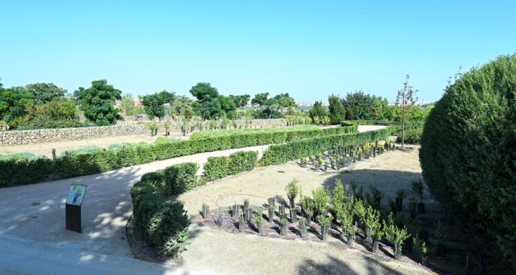 Imagen de otras de las zonas del parque dedicada a especies características de cada comunidad autónoma