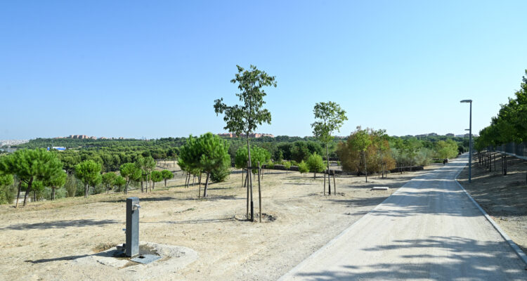 Imagen del parque de las Comunidades desde cuyo montículo se puede contemplar una amplia panorámica del parque