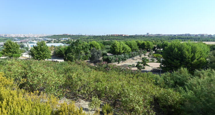 Imagen de la zona del cerro mirador desde donde hay una vista privilegiada del entorno