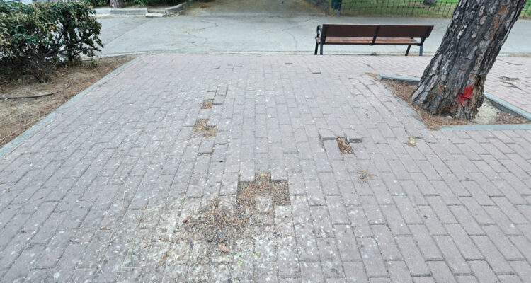 Imagen de uno de los paseos del parque Canillejas que tras la reforma contará con pavimentos renovados