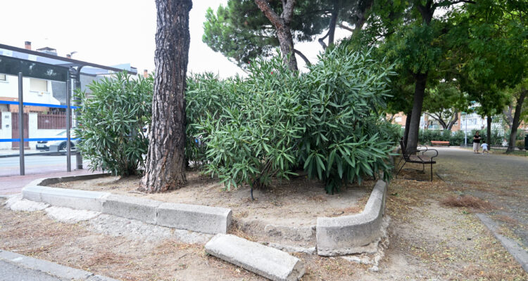 Imagen de una las zonas del parque Canillejas que tras su remodelación contará con nuevos pavimentos y adoquines