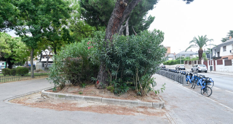 Imagen de uno de los parterres del parque Canillejas objeto de reorganización en la reforma del parque