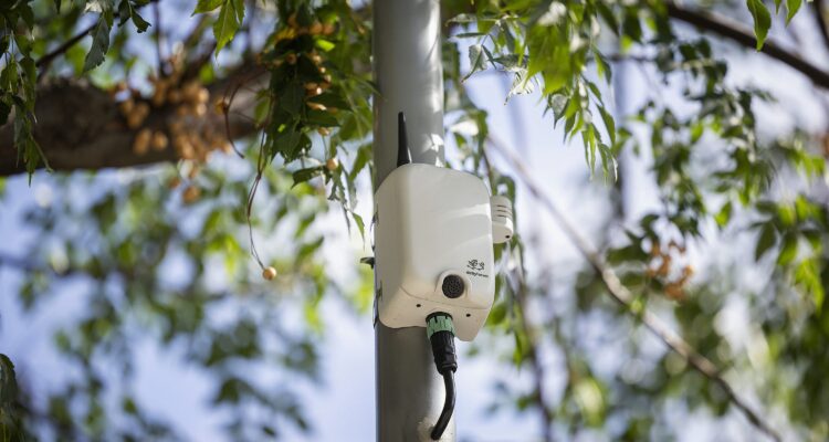 Sensor del proyecto de monitorización de biodiversidad urbana en Madrid Río