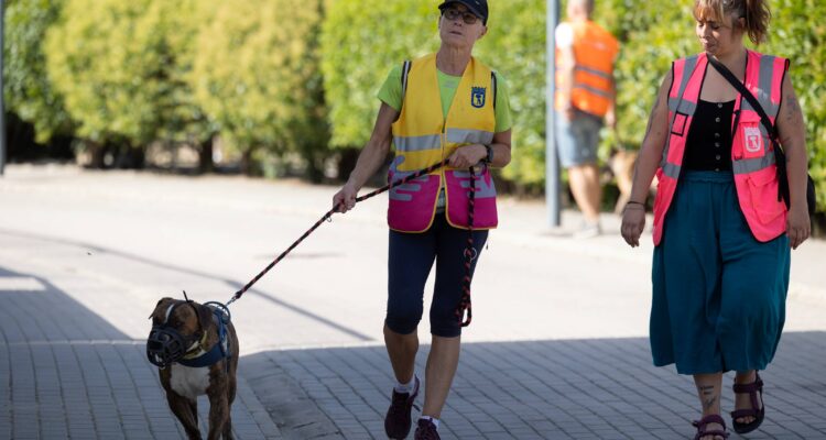 Voluntarias paseando a perro en CPA