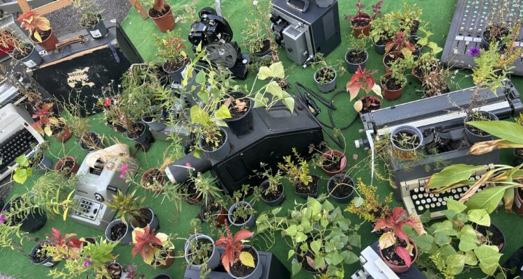 Instalación de plantas y materiales reciclados en el 'Parking Day' en el IES San Isidoro de Sevilla