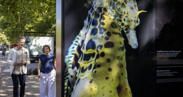 La delegada de Cultura, Turismo y Deporte, Marta Rivera de la Cruz, inaugura la exposición ‘Emociones en peligro. Fotografías de Tim Flach’