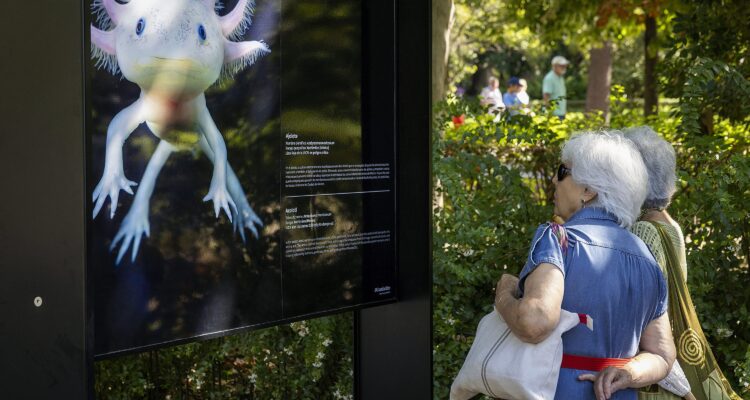 La delegada de Cultura, Turismo y Deporte, Marta Rivera de la Cruz, inaugura la exposición ‘Emociones en peligro. Fotografías de Tim Flach’