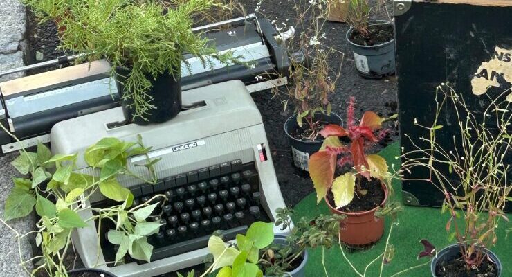 Instalación de plantas y materiales reciclados en el 'Parking Day' en el IES San Isidoro de Sevilla