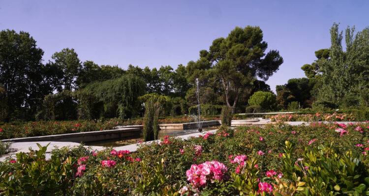 Carabante visita la Rosaleda de los jardines del Buen Retiro