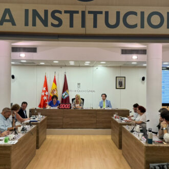 Imagen del pleno ordinario de Ciudad Lineal