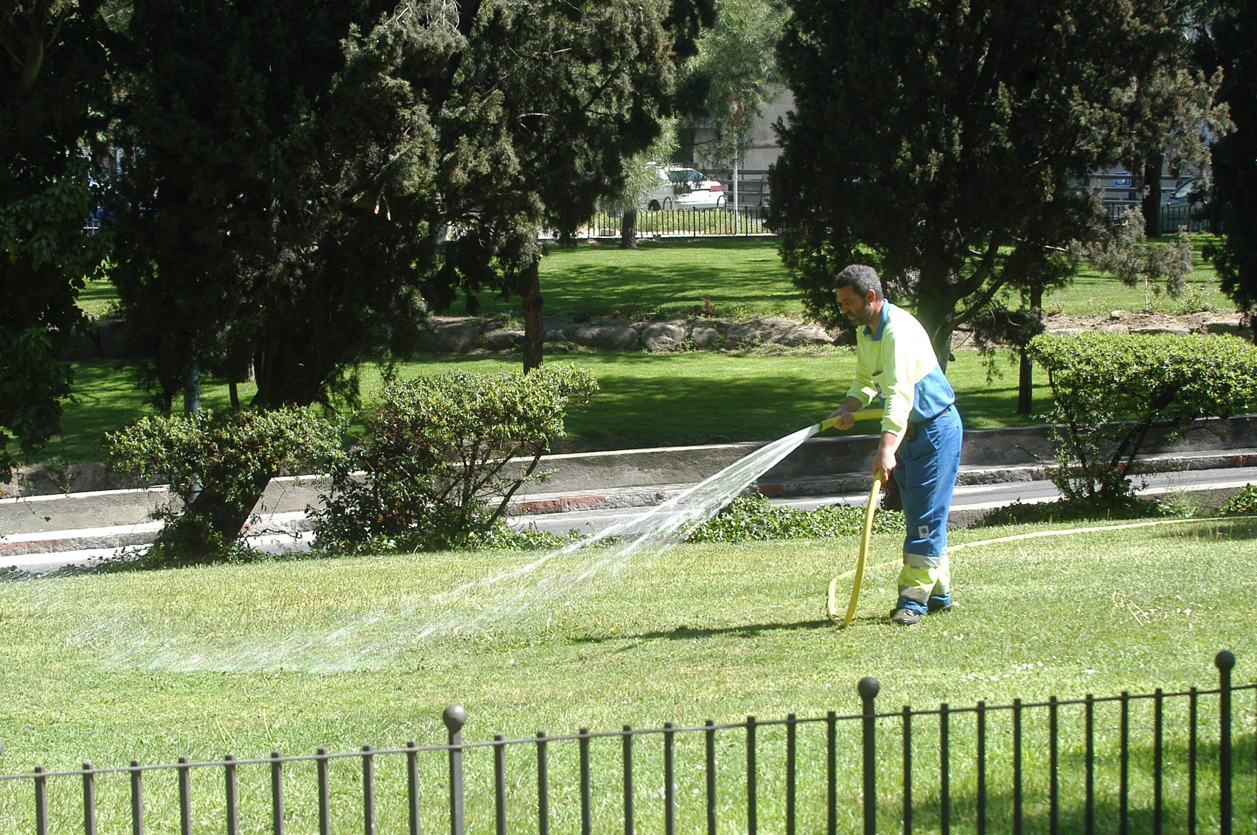 Jardinero regando un parque. Imagen de archivo