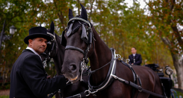 Coche de caballos en la presentación de Mutua Madrid Horse Week