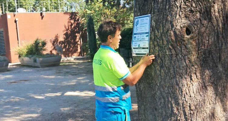 Personal municipal colocando cartel informativo de la campaña europea EUTreeTag 2026
