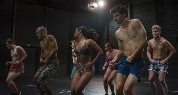 'The Dog Days Are Over 2.0', de Jam Martens ©Stefanie Nash