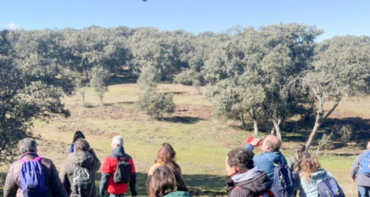 Actividad observación de aves (imagen de archivo)