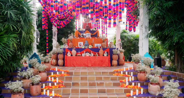Presentación de los altares mexicanos del Día de Muertos