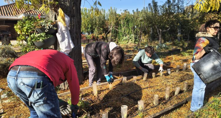 Curso de Agricultura Ecológica (imagen de archivo)