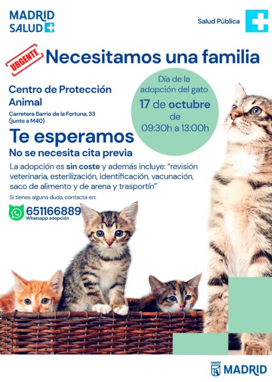 Cartel del Día de la Adopción del Gato en Madrid, el 17 de octubre de 2026, con imágenes de varios gatos y detalles de la jornada de adopción.