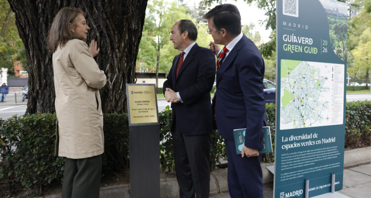 Hernández de la Riva, Carabante y Páramo junto al árbol más antiguo de Madrid