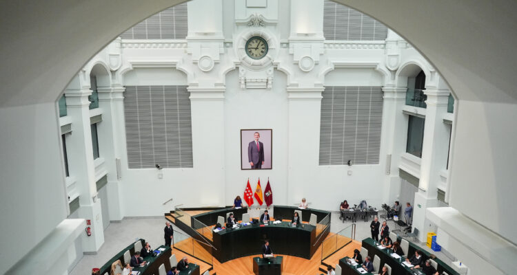 Momento sesión extraordinaria del Pleno municipal de hoy