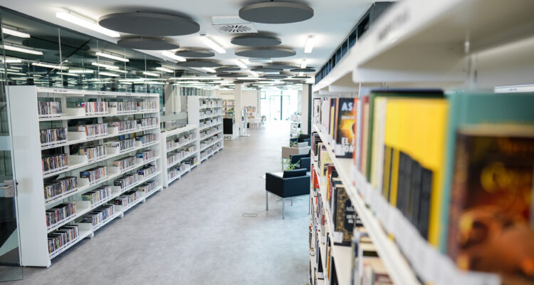 La Biblioteca Pública Municipal Benjamín Palencia