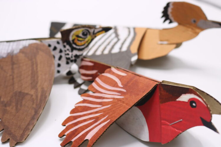 Aves de papel