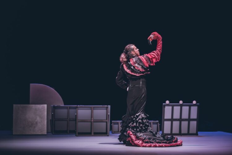 Escena del espectáculo Empaque