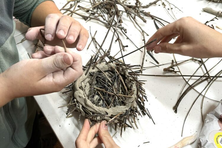 Taller de creación de nidos